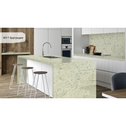 9017 Бургундия